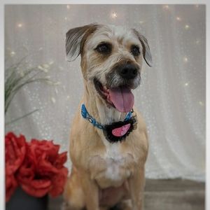 Meet your Posher, Dej